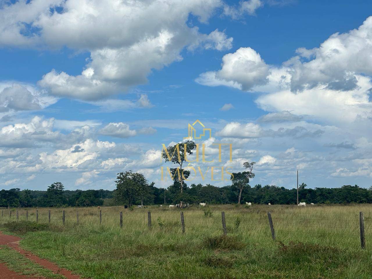 Fazenda à venda, 4840000M2 - Foto 7