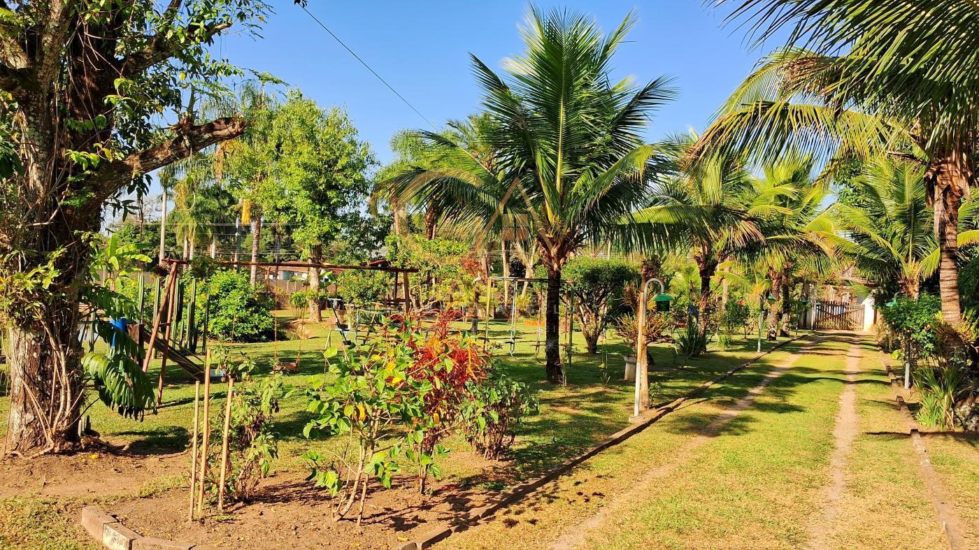 Fazenda à venda com 3 quartos, 4300m² - Foto 8