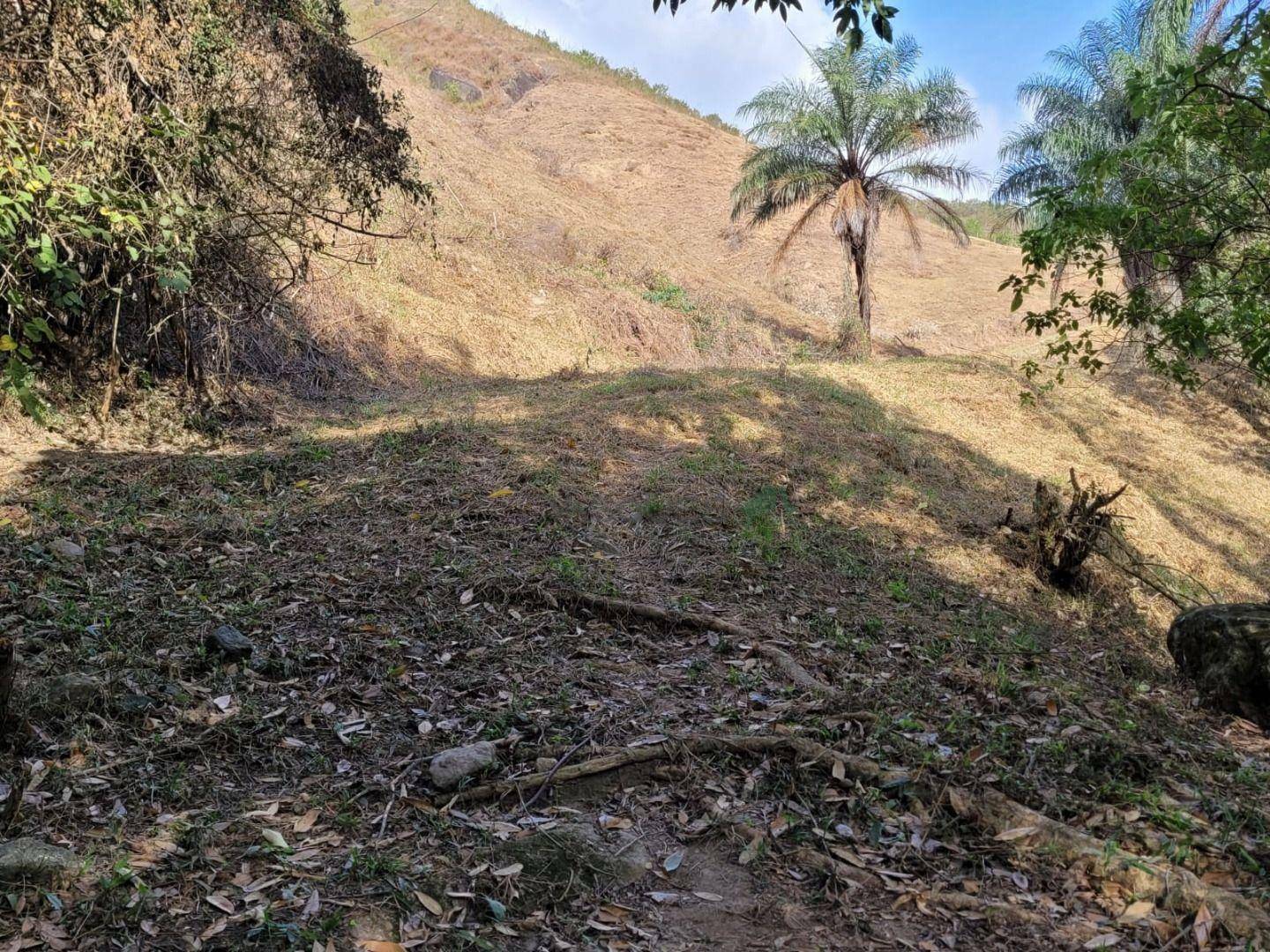 Fazenda à venda, 1292280M2 - Foto 17