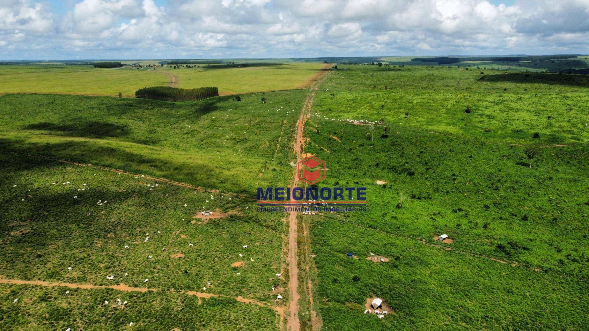 Fazenda à venda com 4 quartos, 4800000M2 - Foto 7