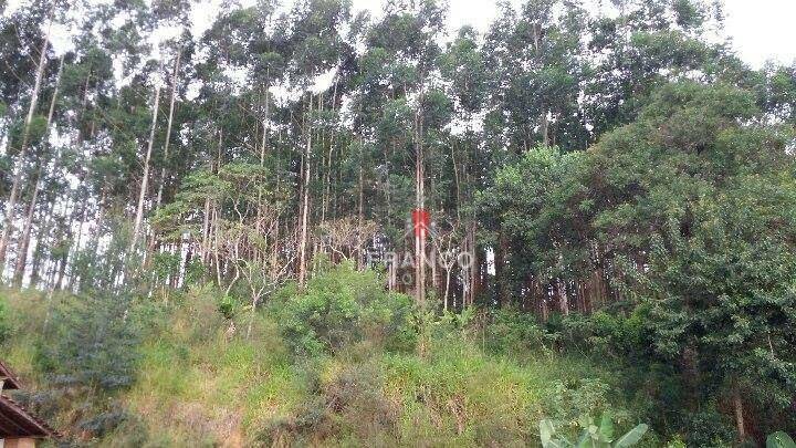 Terreno à venda, 137000M2 - Foto 10