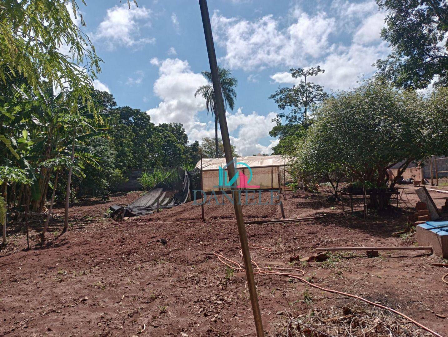 Chácara à venda com 3 quartos, 5000M2 - Foto 29