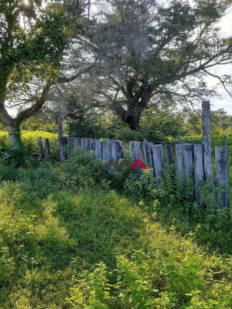 Fazenda à venda com 1 quarto, 43463200M2 - Foto 7