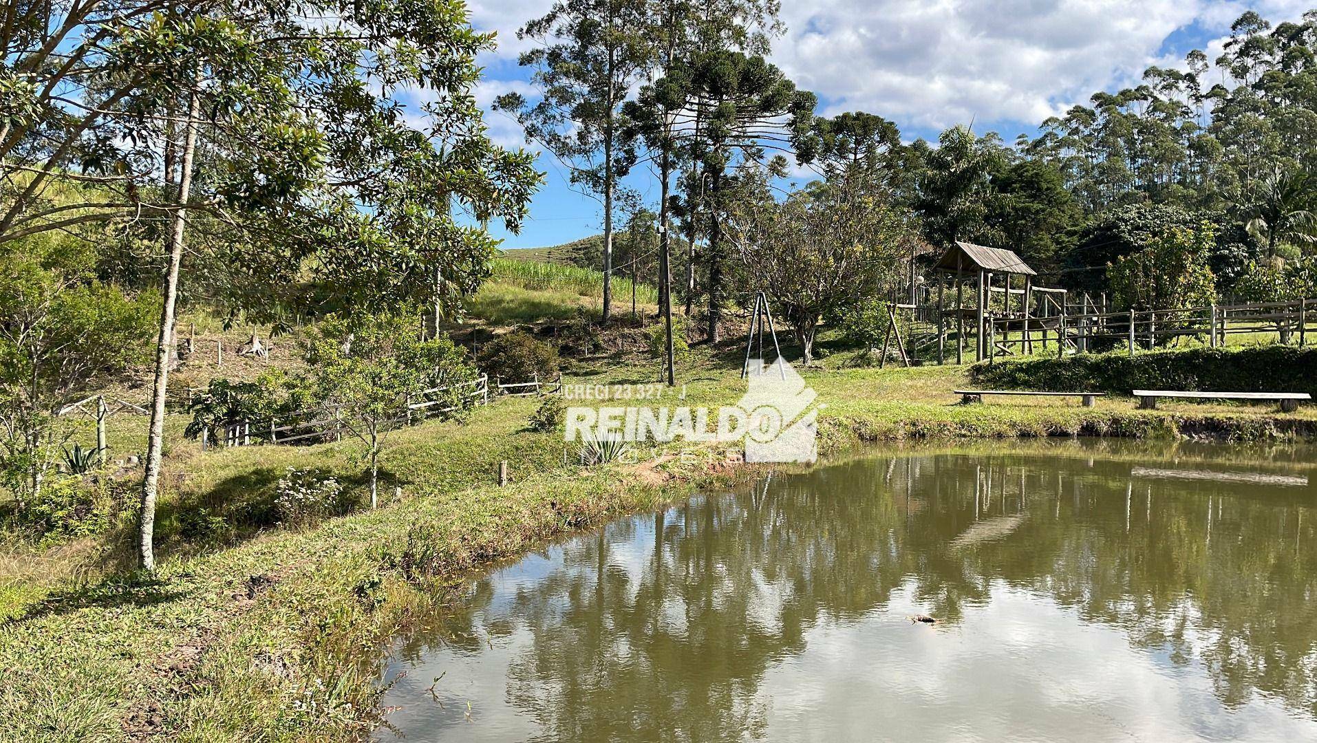 Fazenda à venda com 8 quartos, 900m² - Foto 53