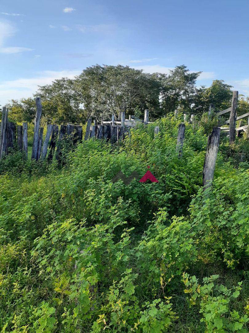 Fazenda à venda com 1 quarto, 43463200M2 - Foto 8