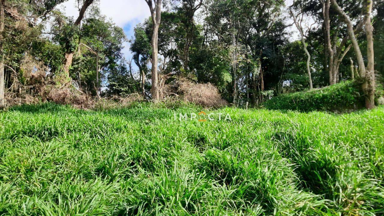 Sítio à venda com 3 quartos, 240000M2 - Foto 11