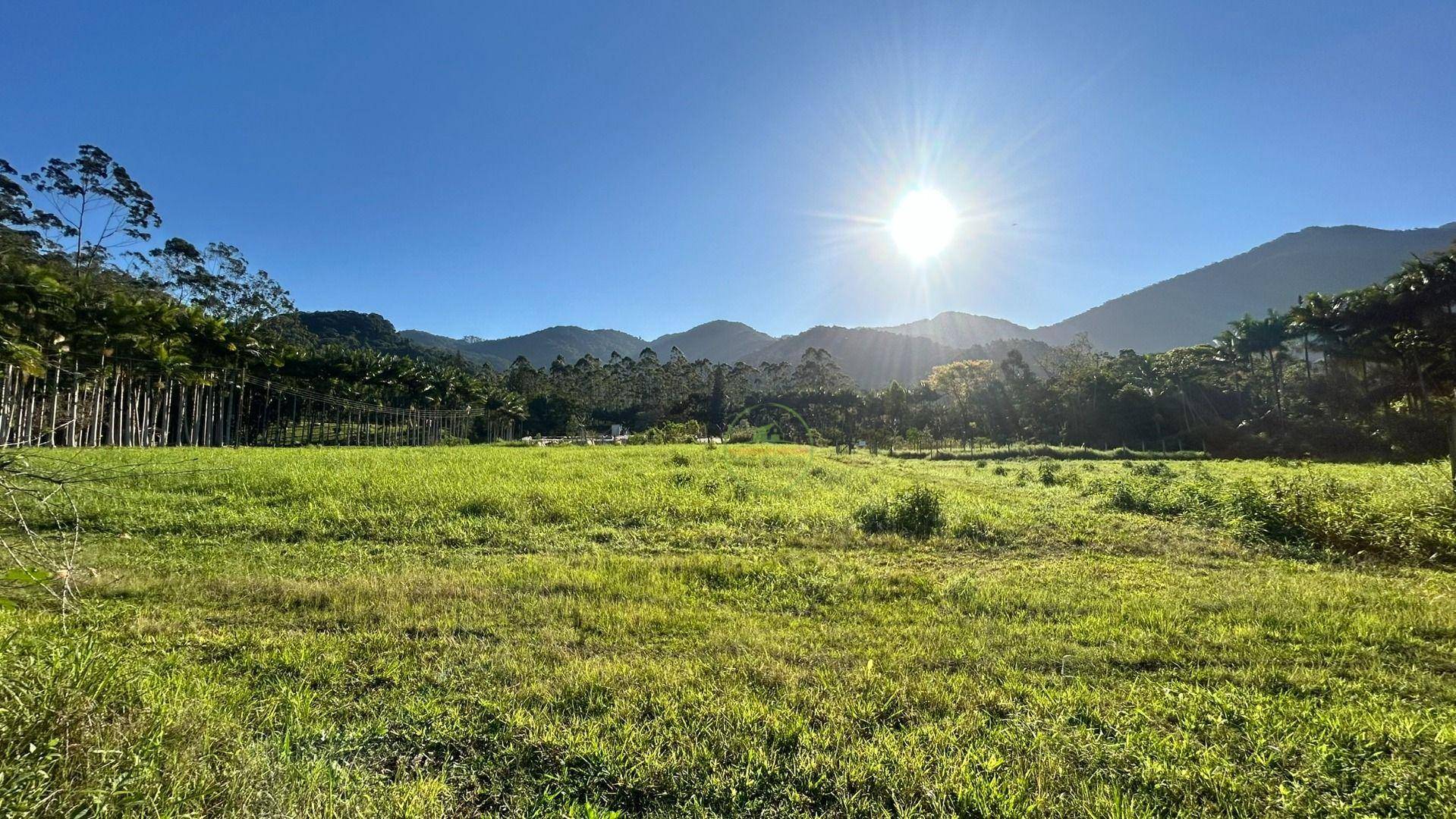 Sítio, 19 hectares - Foto 24