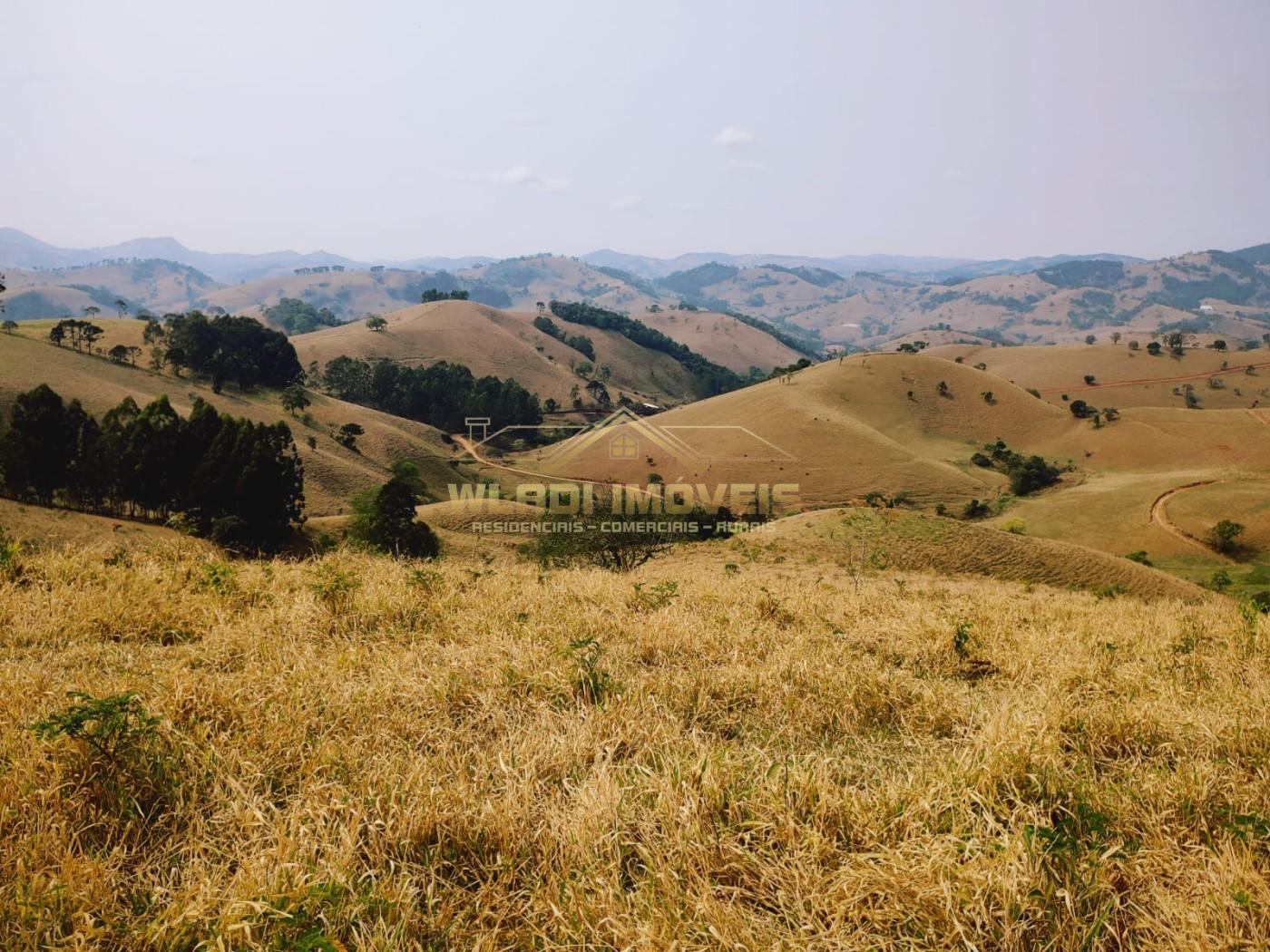 Terreno à venda, 20000m² - Foto 2