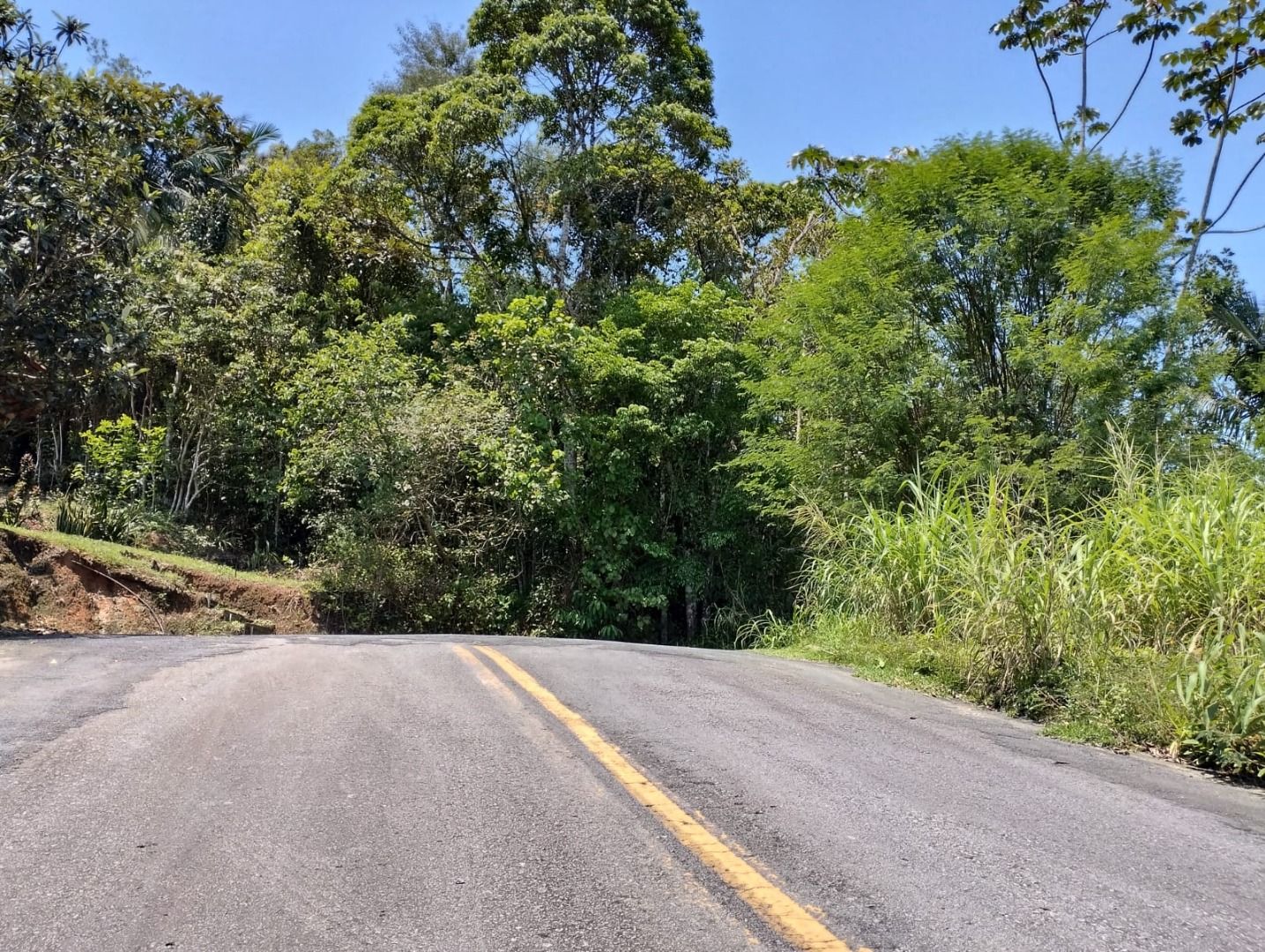 Terreno à venda, 15638M2 - Foto 3