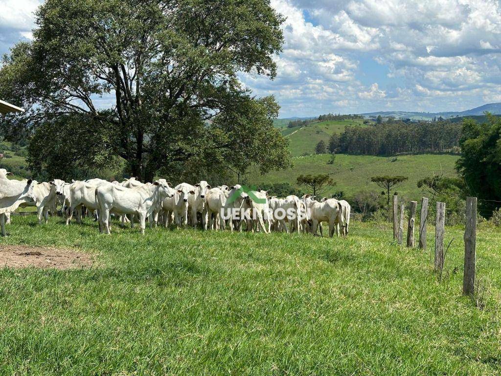 Fazenda à venda, 2299000M2 - Foto 1