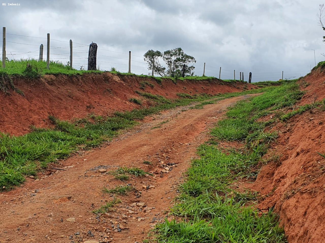 Fazenda à venda com 2 quartos, 220m² - Foto 31