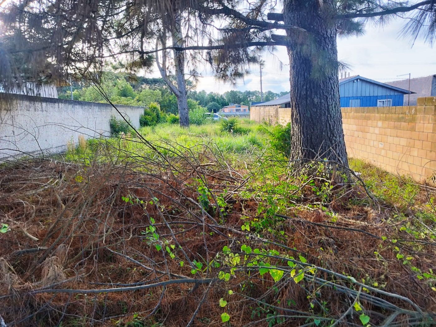 Terreno à venda, 418m² - Foto 3