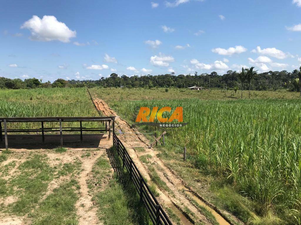 Fazenda à venda com 2 quartos, 1110000M2 - Foto 5