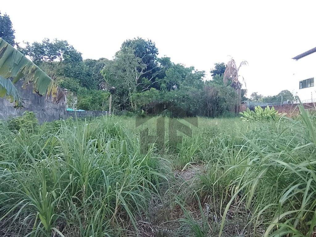 Terreno, 1000 m² - Foto 11