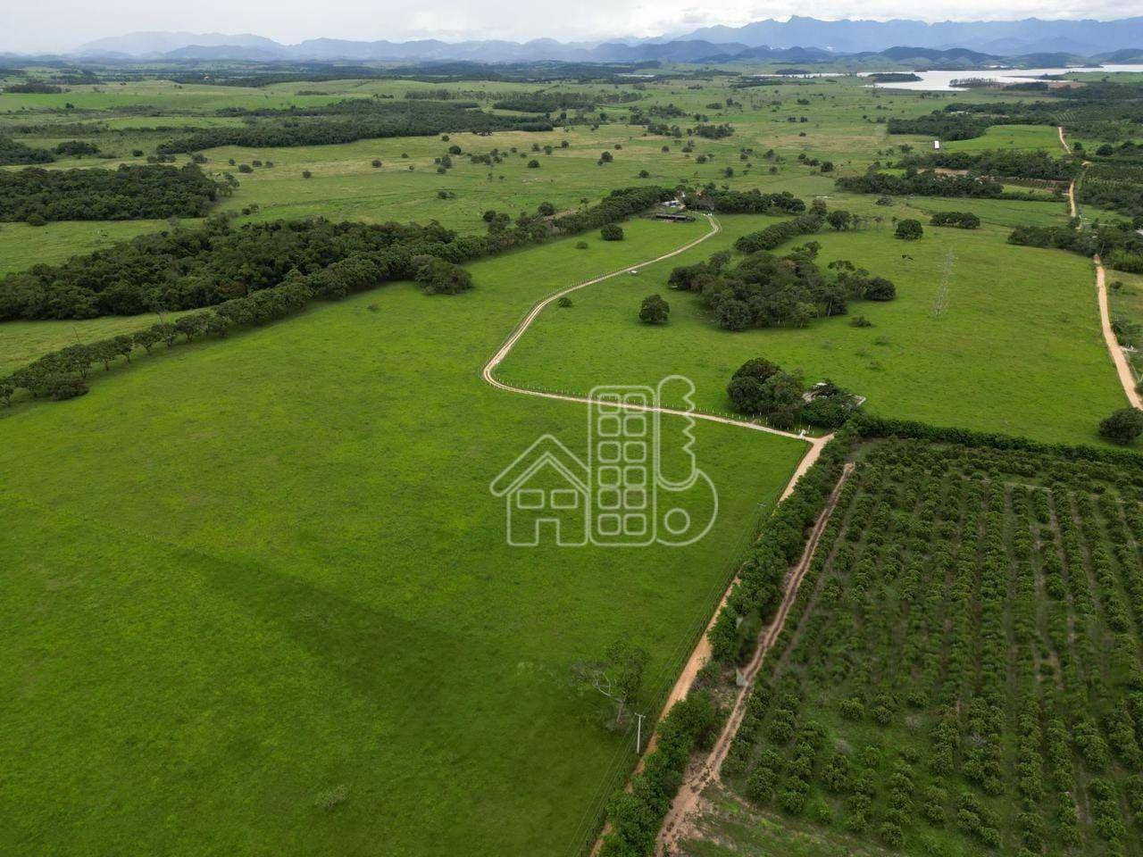 Fazenda-Sítio-Chácara, 290 hectares - Foto 1