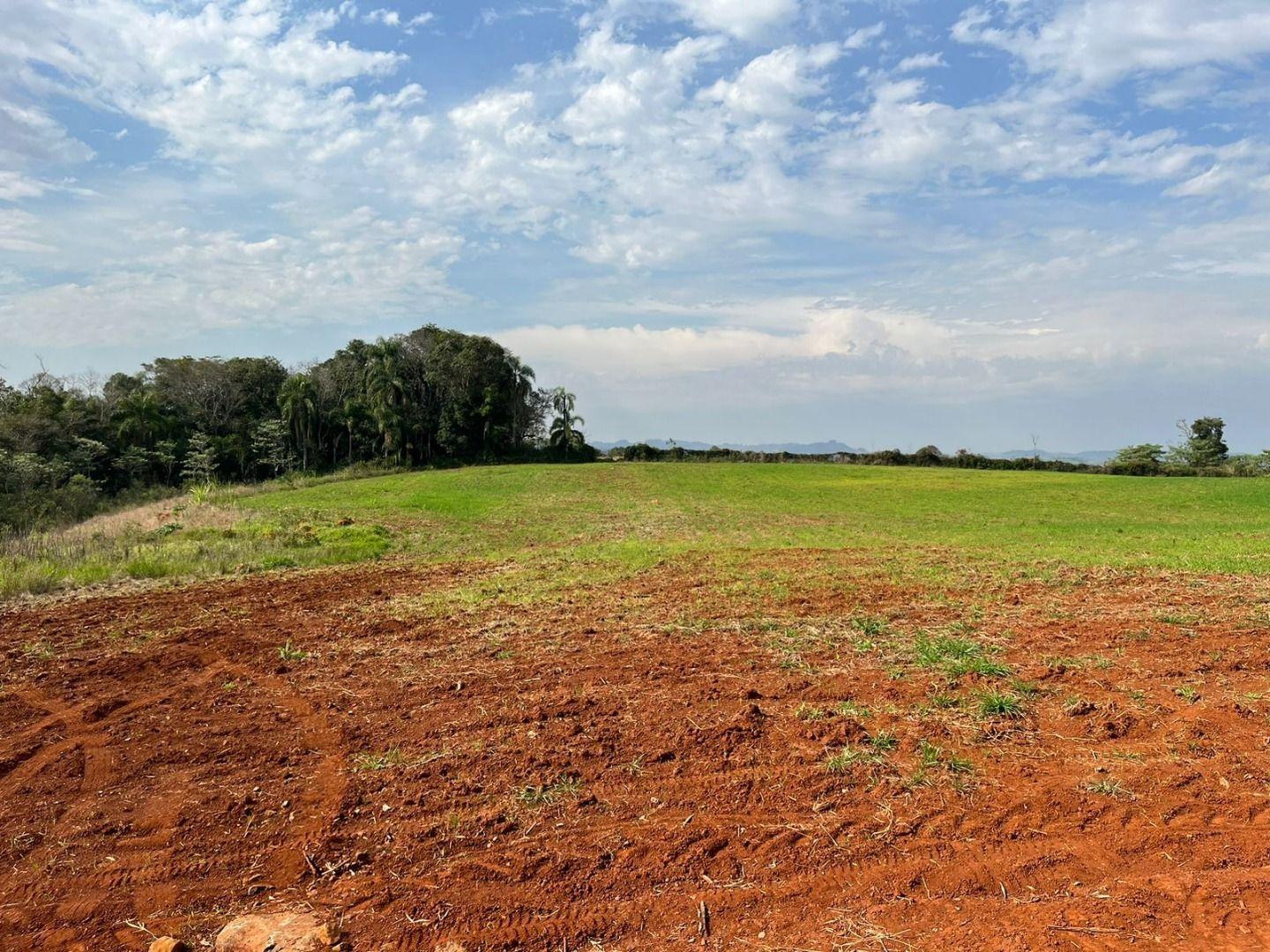 Terreno à venda, 30000m² - Foto 10