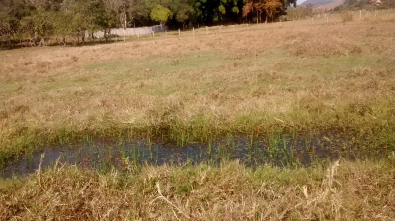 Fazenda à venda com 3 quartos, 50m² - Foto 5