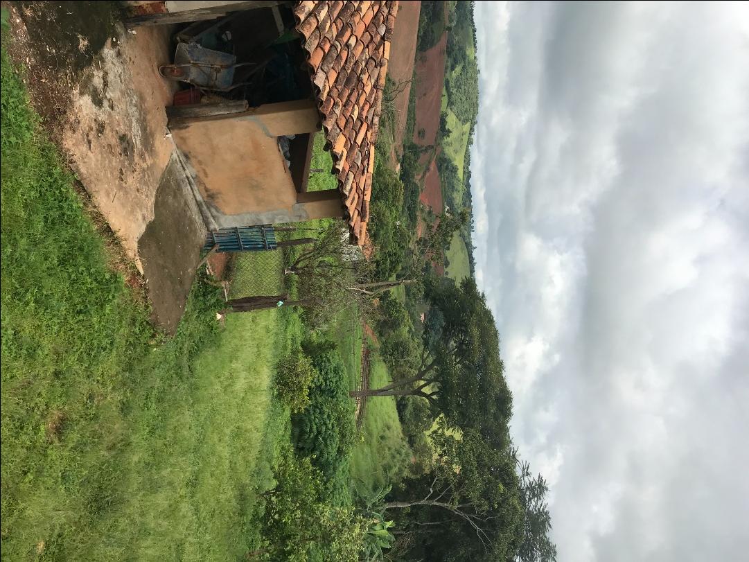 Fazenda à venda com 4 quartos, 1064800M2 - Foto 5