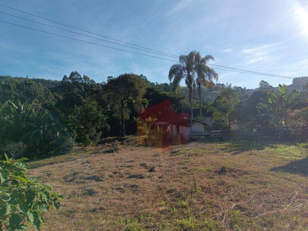 Sítio, 10 hectares - Foto 35