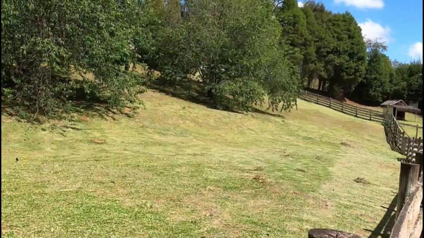 Terreno à venda, 5000m² - Foto 10