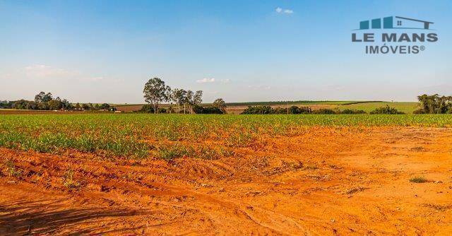 Terreno à venda, 68000M2 - Foto 1