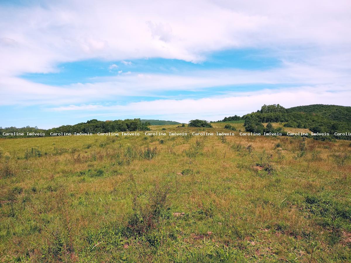 Fazenda à venda com 5 quartos, 625000m² - Foto 40