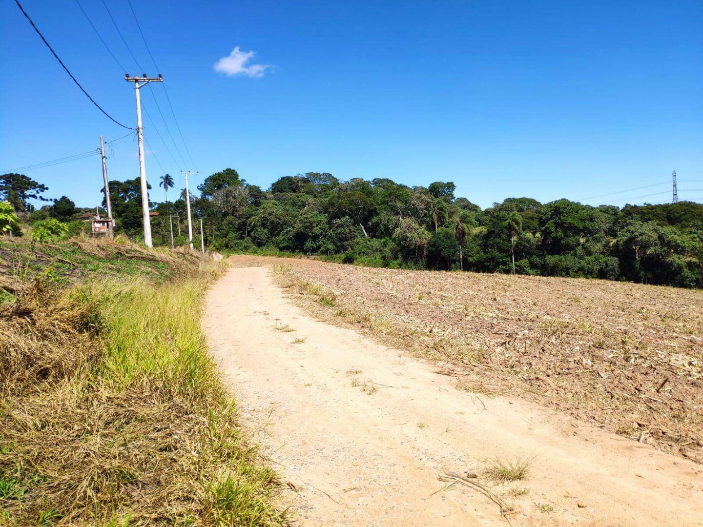 Sítio à venda com 4 quartos, 200m² - Foto 6