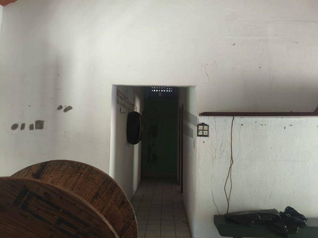 Chácara, 4 quartos, 10000 m² - Foto 4