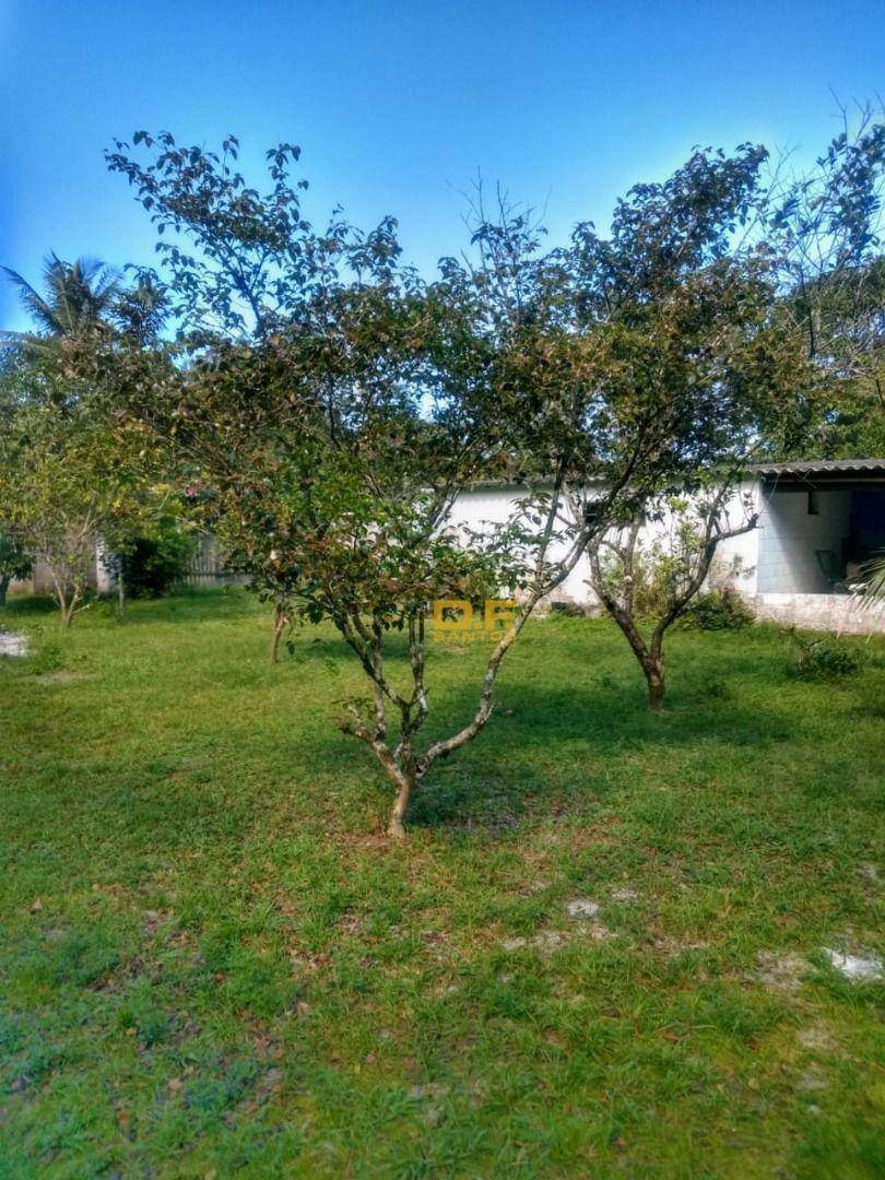 Chácara, 2 quartos, 3812 hectares - Foto 18