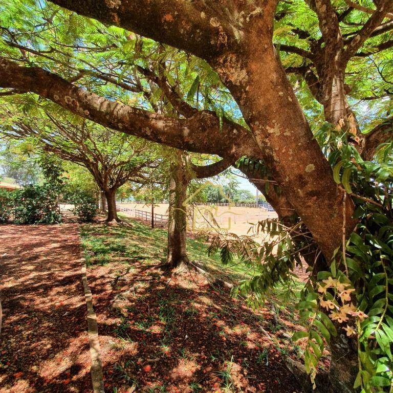 Haras e Área Rural Padrão à venda com 4 quartos, 1000m² - Foto 5