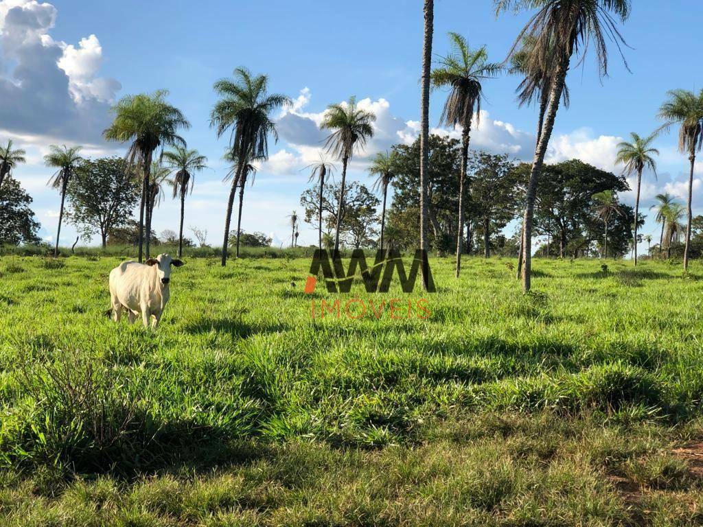 Fazenda à venda, 25748800M2 - Foto 23