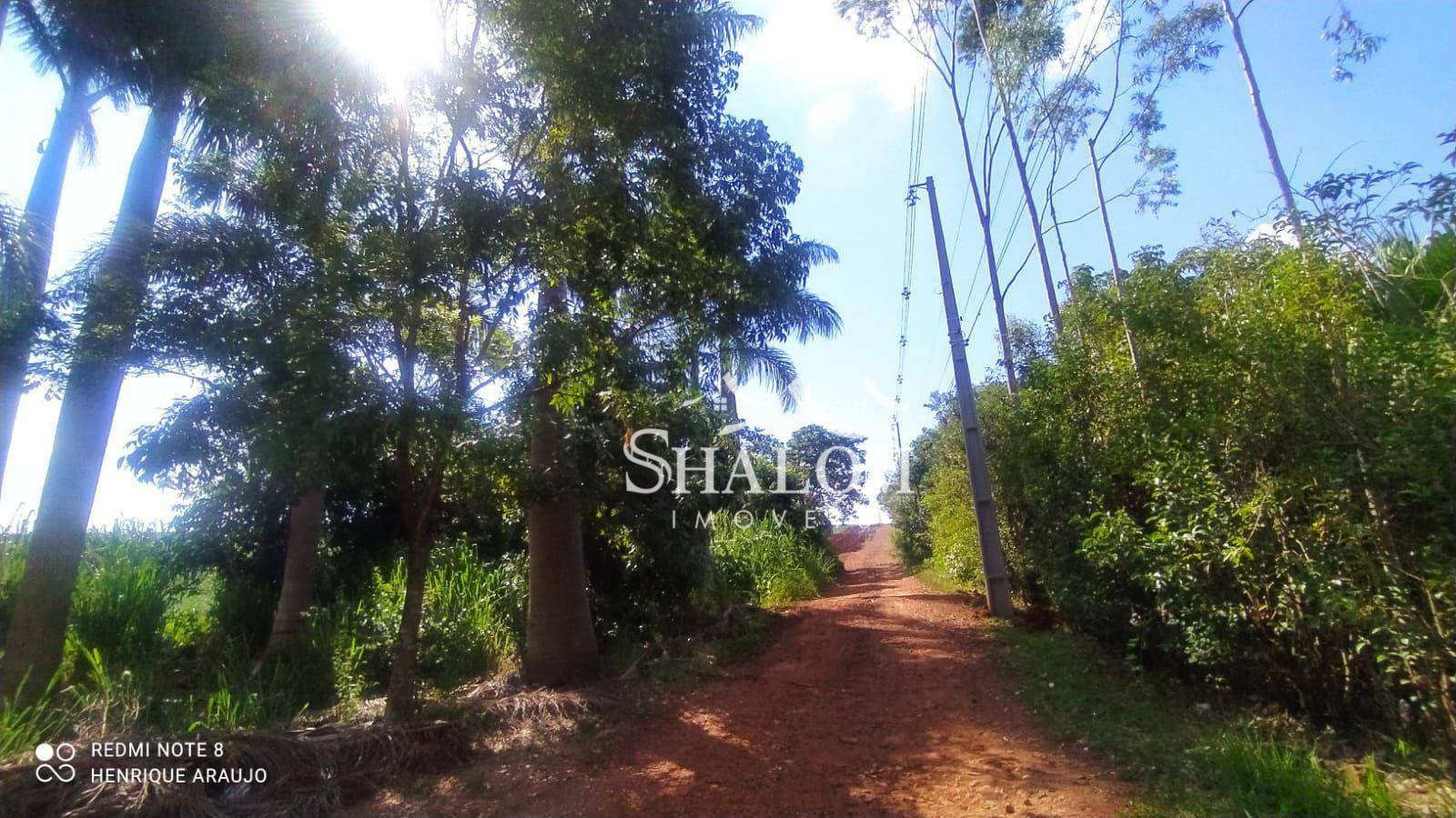 Chácara, 5000 m² - Foto 10