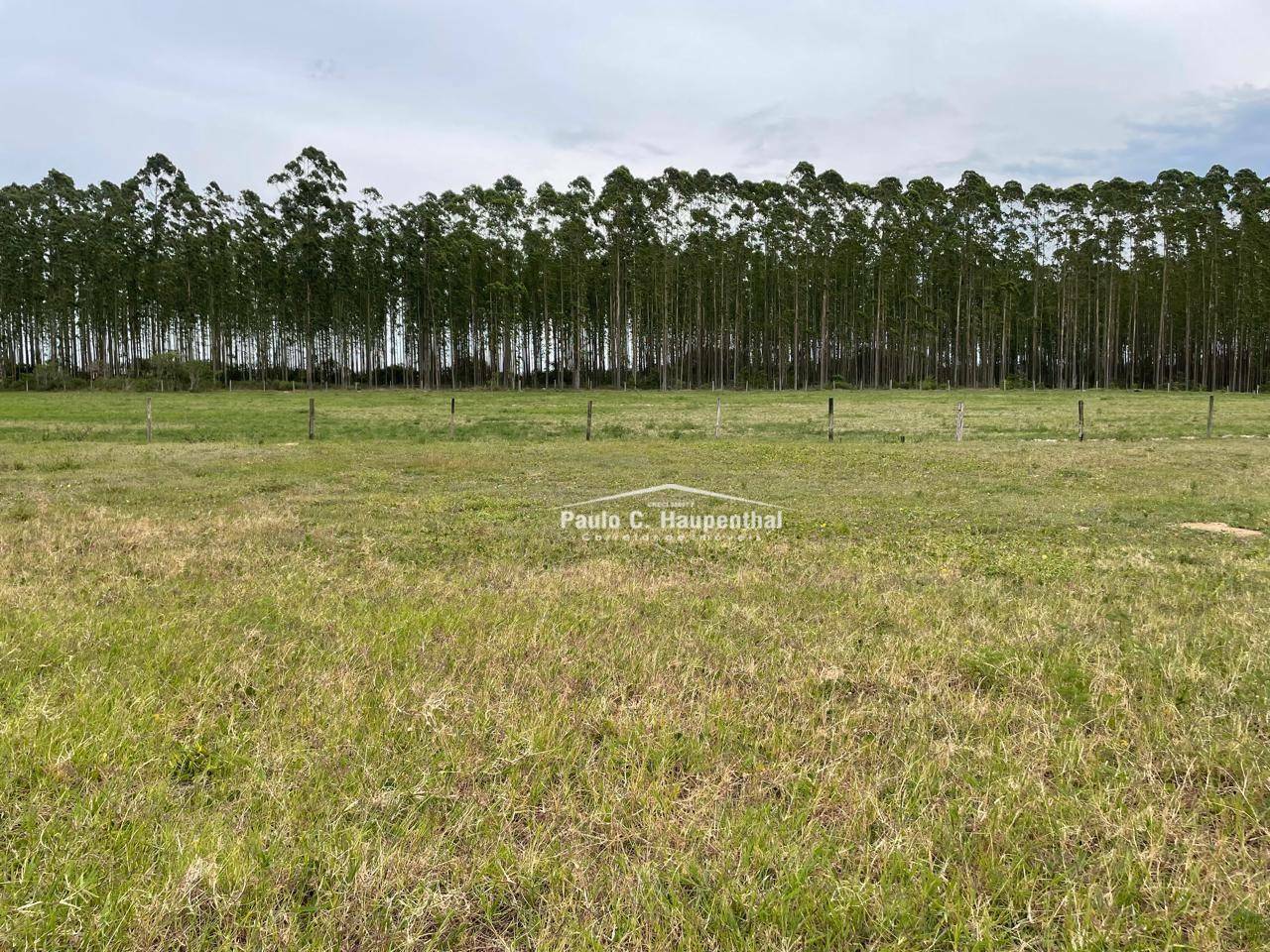 Terreno à venda, 340M2 - Foto 1