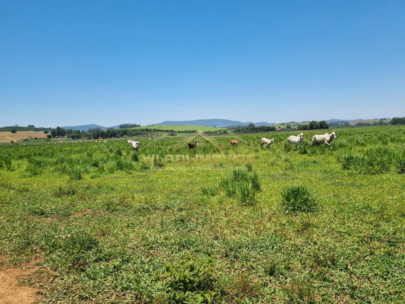 Fazenda à venda, 73m² - Foto 4