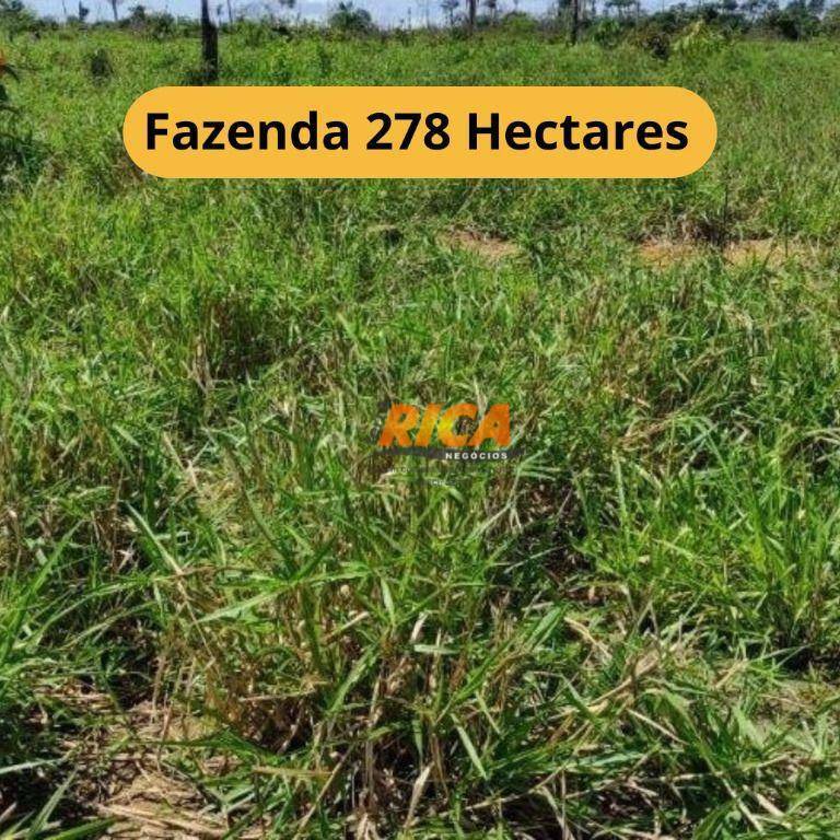 Fazenda-Sítio-Chácara, 278 hectares - Foto 1