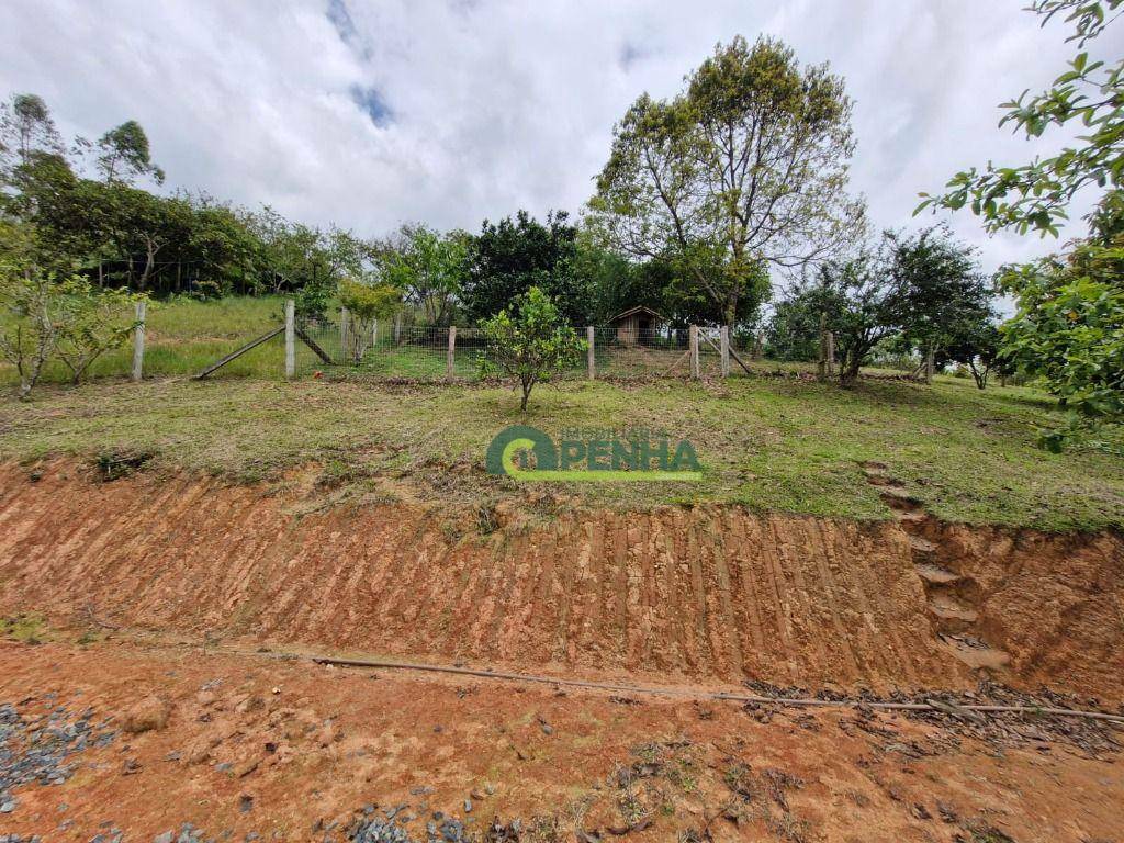 Chácara à venda com 2 quartos, 5300M2 - Foto 3