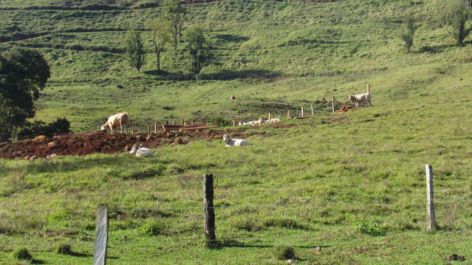 Fazenda à venda, 2240000m² - Foto 32