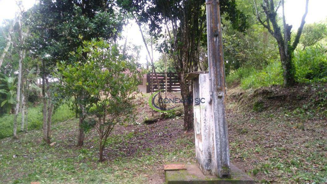 Fazenda à venda com 3 quartos, 2970000M2 - Foto 4