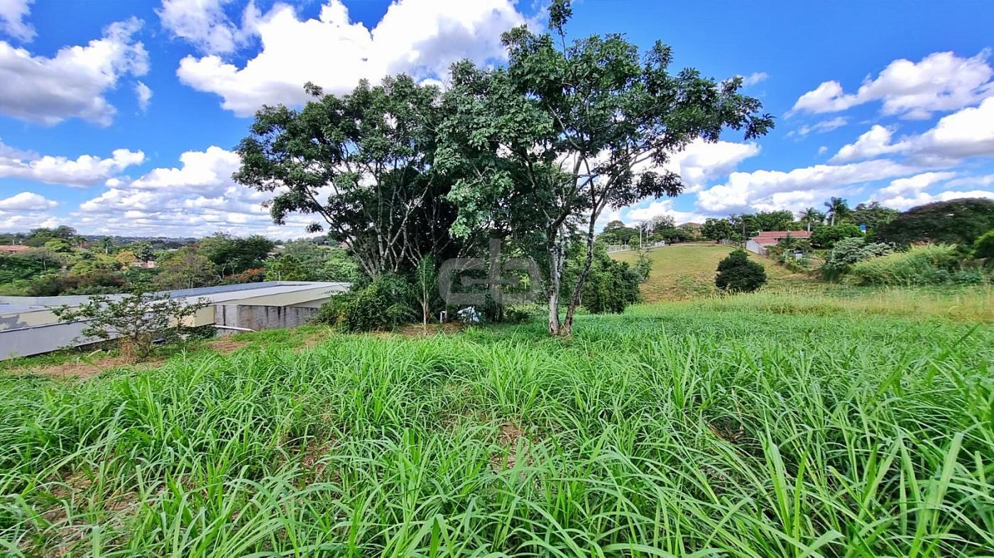 Terreno à venda, 2500m² - Foto 7