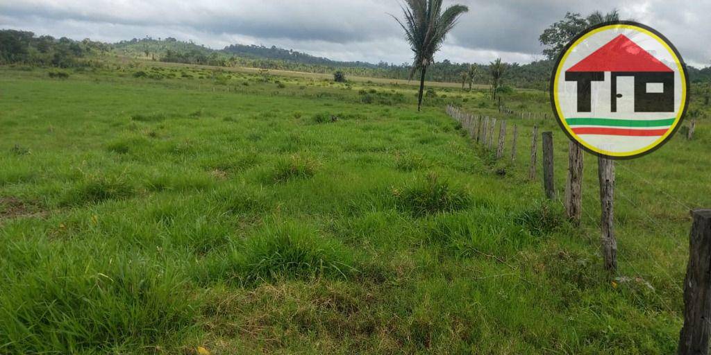 Fazenda à venda, 1452000M2 - Foto 4