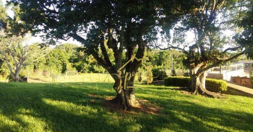 Fazenda à venda com 3 quartos, 1000m² - Foto 6