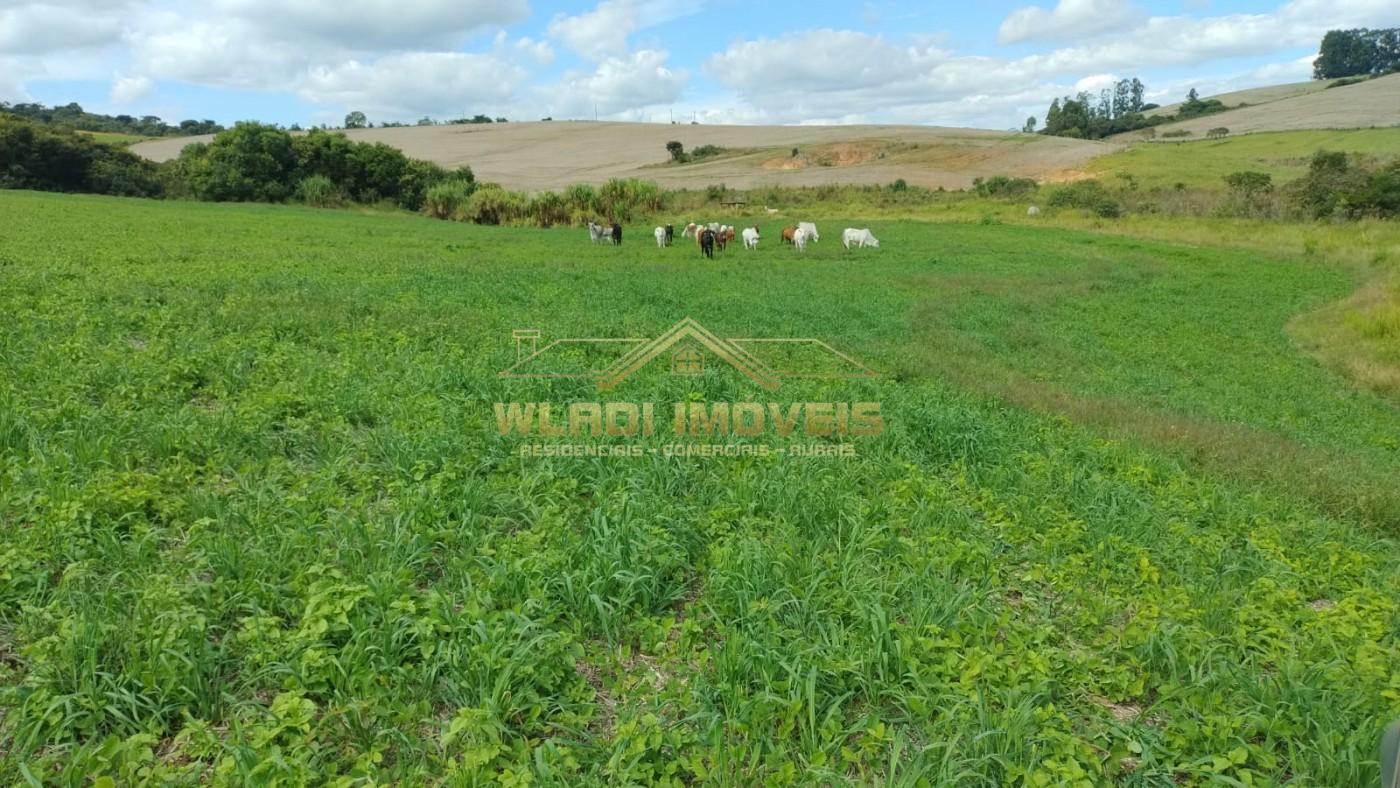 Fazenda à venda, 160m² - Foto 5