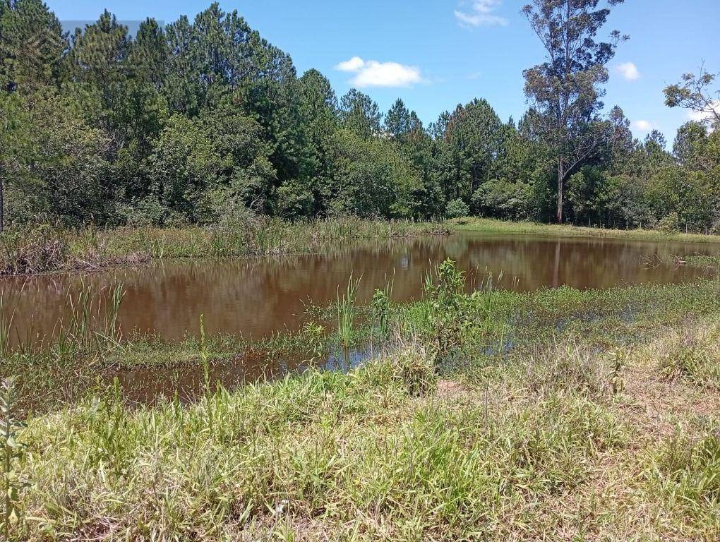 Terreno, 4 hectares - Foto 2