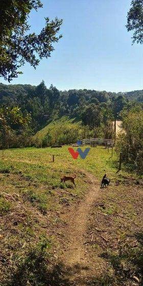 Terreno à venda, 23700M2 - Foto 4