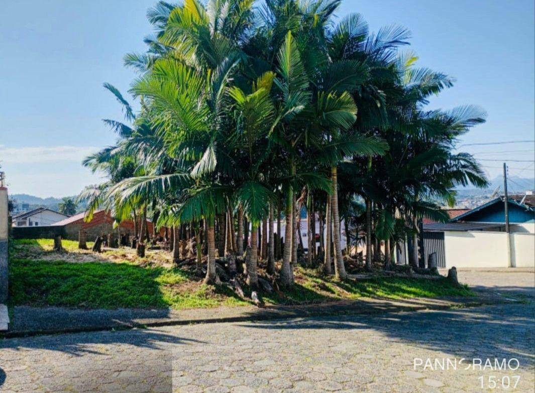 Terreno, 300 m² - Foto 1