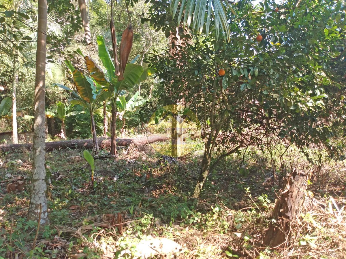 Fazenda à venda, 4m² - Foto 21