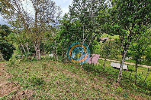 Chácara, 2 hectares - Foto 10