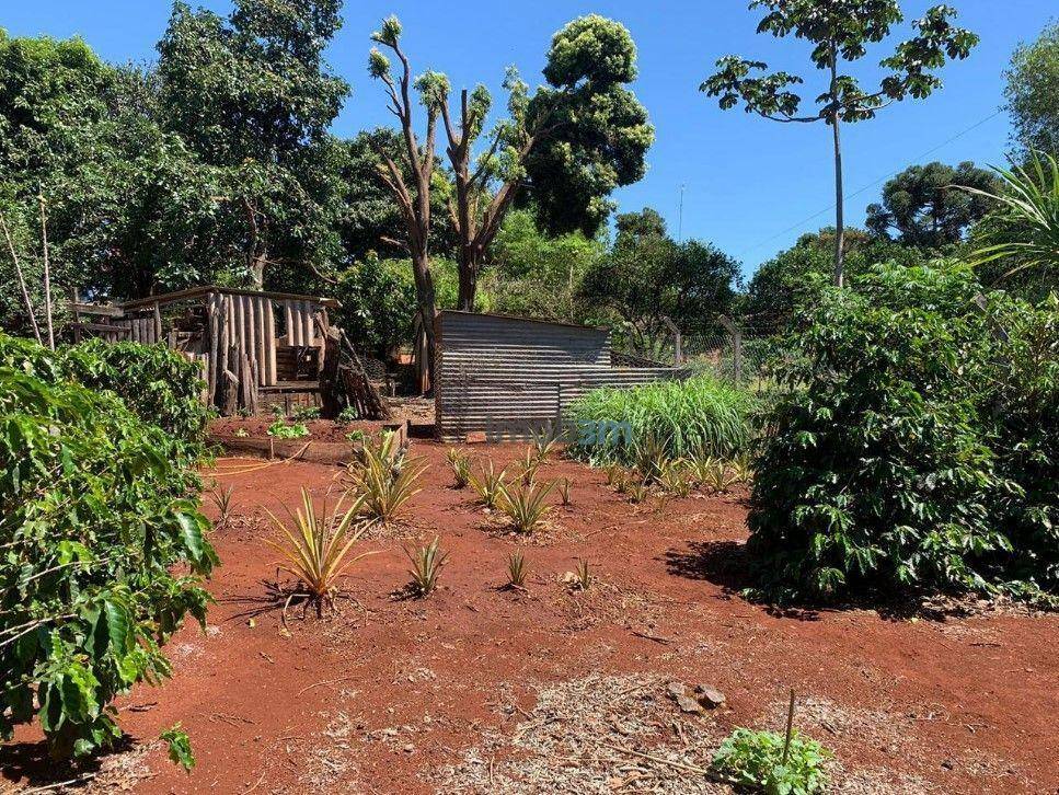 Chácara à venda com 3 quartos, 100m² - Foto 28