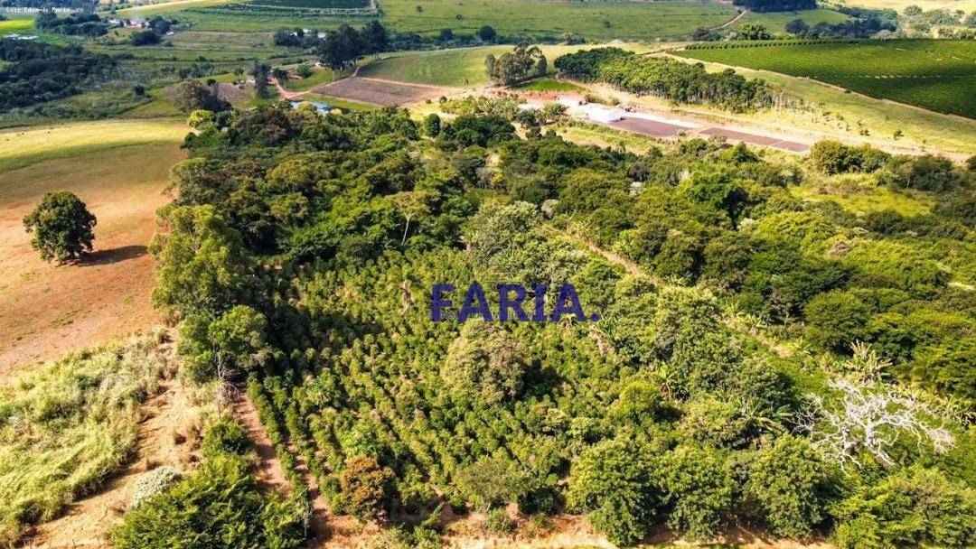 Chácara à venda com 4 quartos, 83300M2 - Foto 9