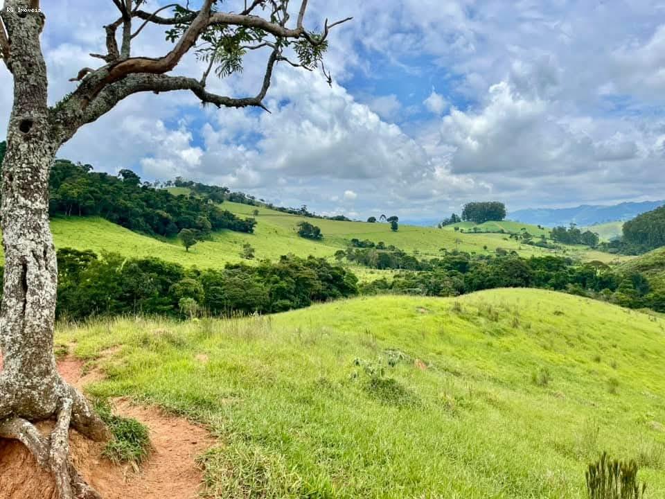 Sítio à venda com 2 quartos, 726000m² - Foto 4